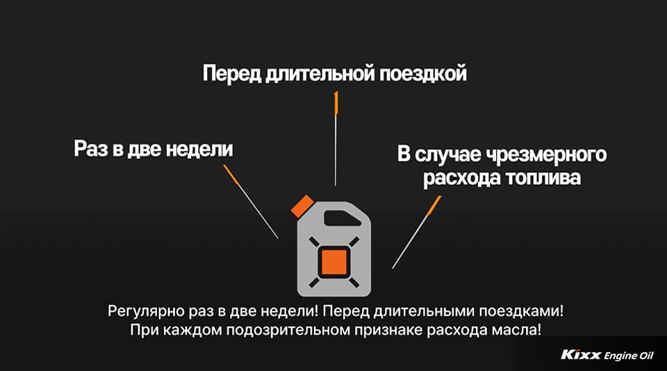 регулярной проверки уровня моторного масла: Раз в две недели, Перед длительной поездкой, В случае чрезмерного расхода топлива